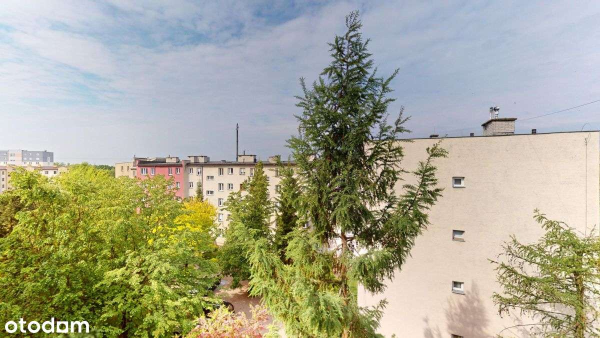 3-pokojowe mieszkanie 46.5 m²–Gotowe do wprowadzki - Pełny obrazek: 5/20