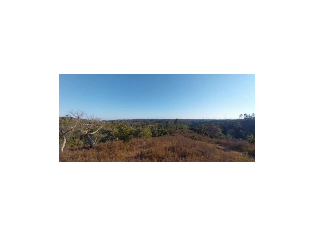 TERRENO MISTO - 7,075ha (c/ ruína)-10