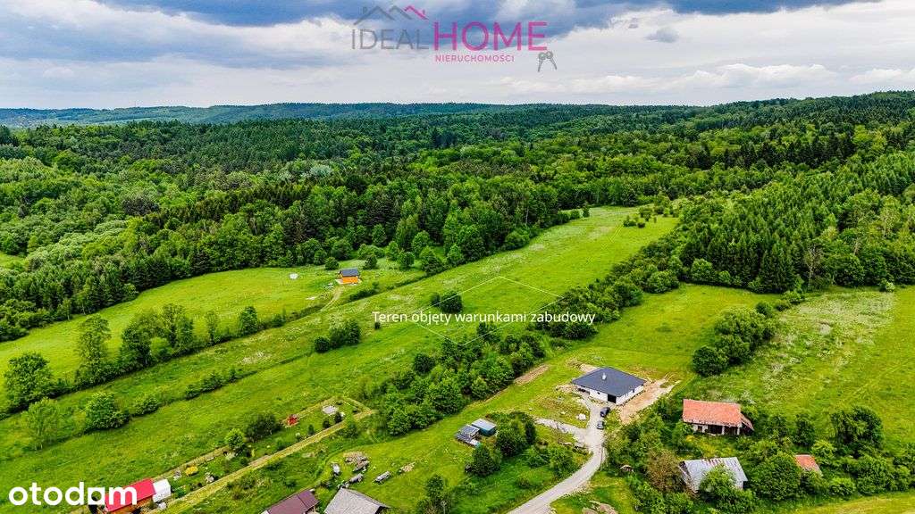 Działka na skraju lasu - Wola Krzywiecka - Pełny obrazek: 5/16