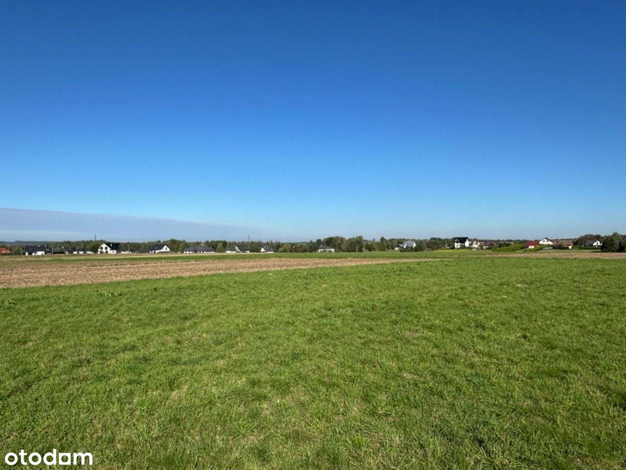 Piękna widokowa rolna działka. Cisza i spokój! - Pełny obrazek: 4/12