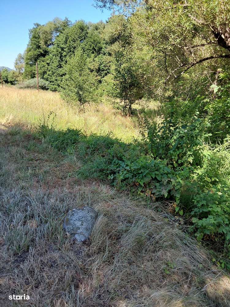 TEREN INTRAVILAN ÎN MARGA-LA DN68 JUD.CARAȘ-SEVERIN - Imagine principală: 5/9