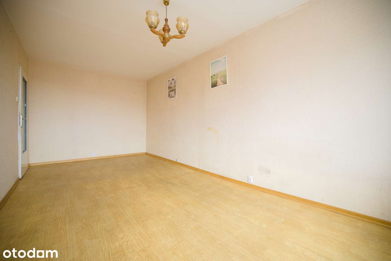 Poznań Jeżyce Centrum 3 pokoje Sołacz Park - Pełny obrazek: 3/10