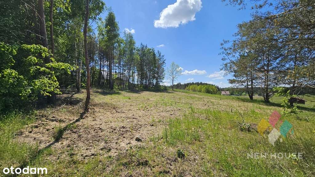 Działka częściowo zadrzewiona, możliwość zabudowy - Pełny obrazek: 5/10
