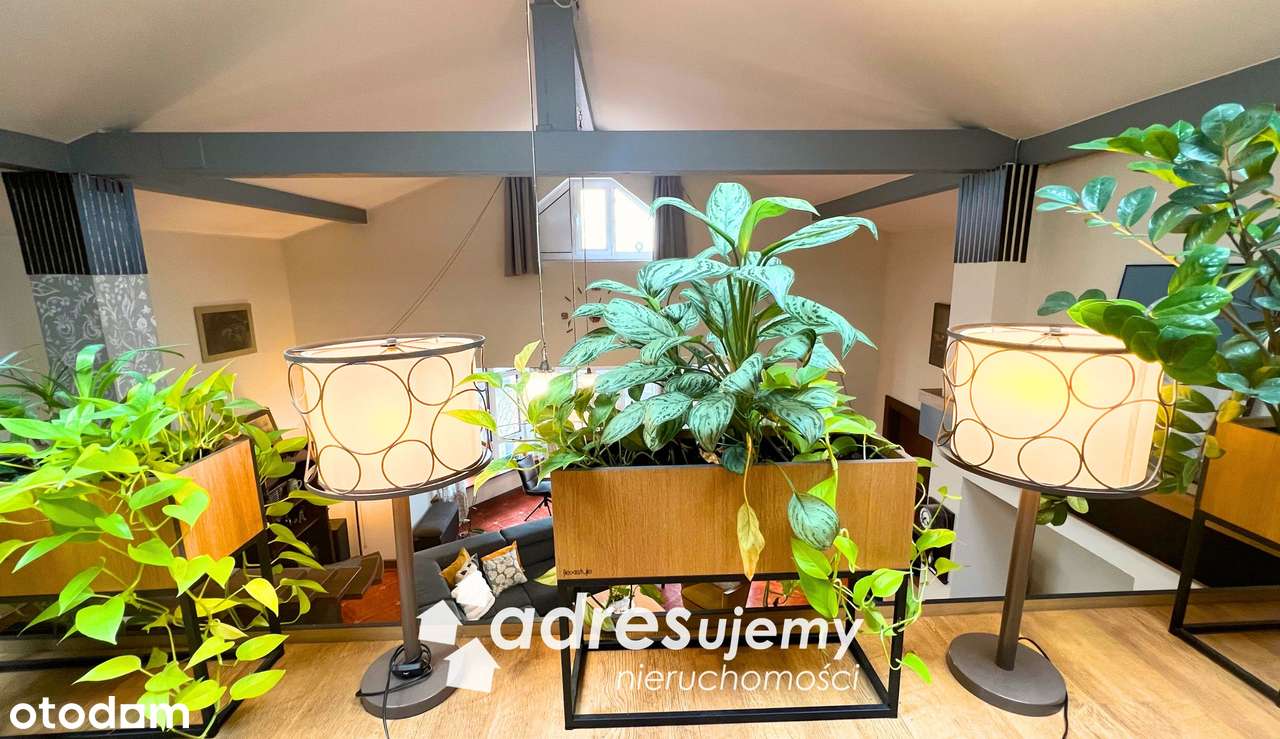 Apartament 4-pokoje z antresolą w centrum, idealny pod inwestycję - Pełny obrazek: 4/10