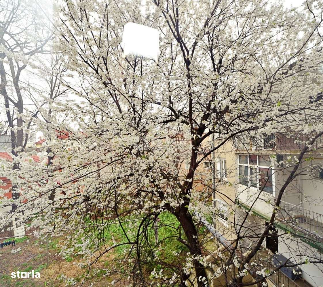 Centru - Cuza Voda - Maternitate, 3 camere disponibil imediat-8