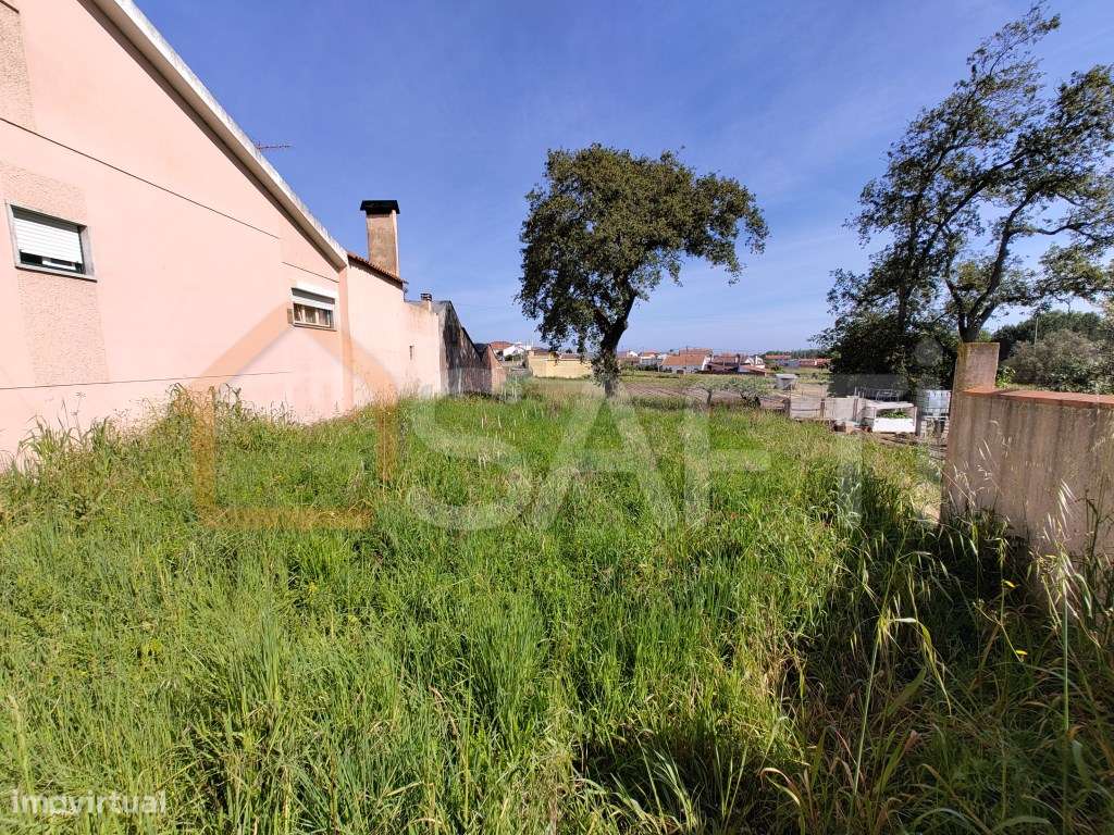 Terreno em Leiria ( Maceira) - Grande imagem: 3/7