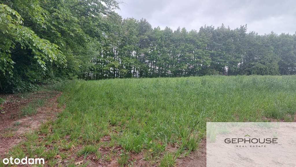 Ciekawe miejsce do zamieszkania - Pełny obrazek: 4/7