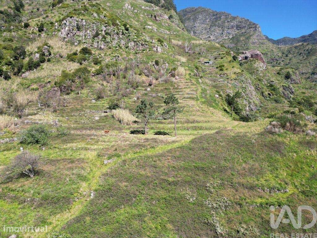 Terreno em Serra de Água de 400,00 m2 - Grande imagem: 4/10