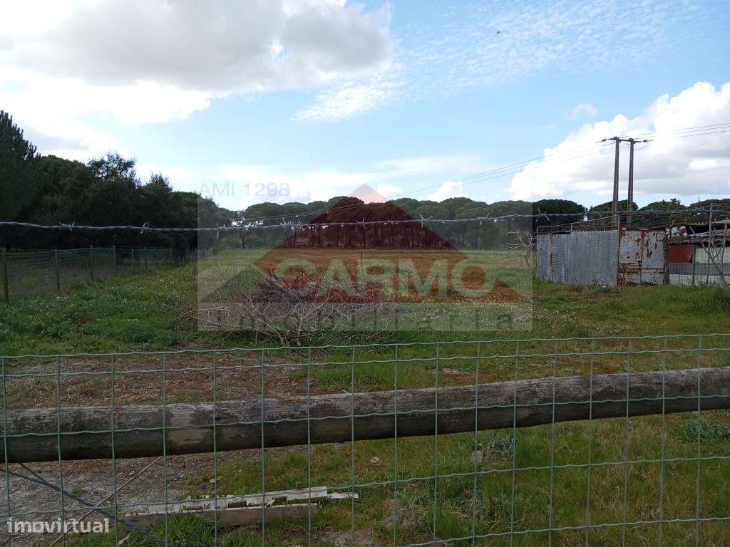 Terreno murado com poço. - Grande imagem: 5/9