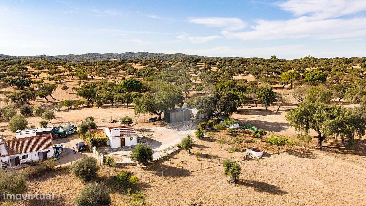 Terreno  para venda-9