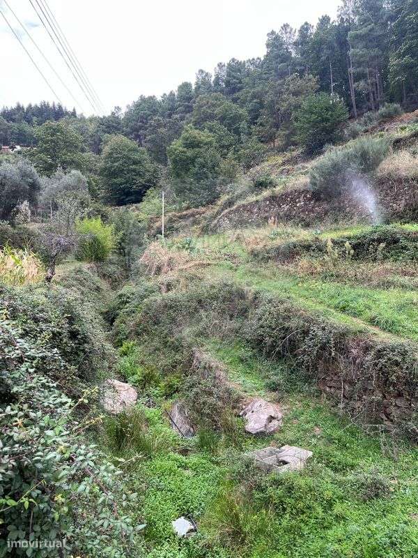 Quinta T4 para venda - Grande imagem: 5/14