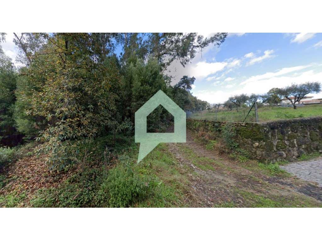 Bouça centro Couto Barcelos - Grande imagem: 2/13