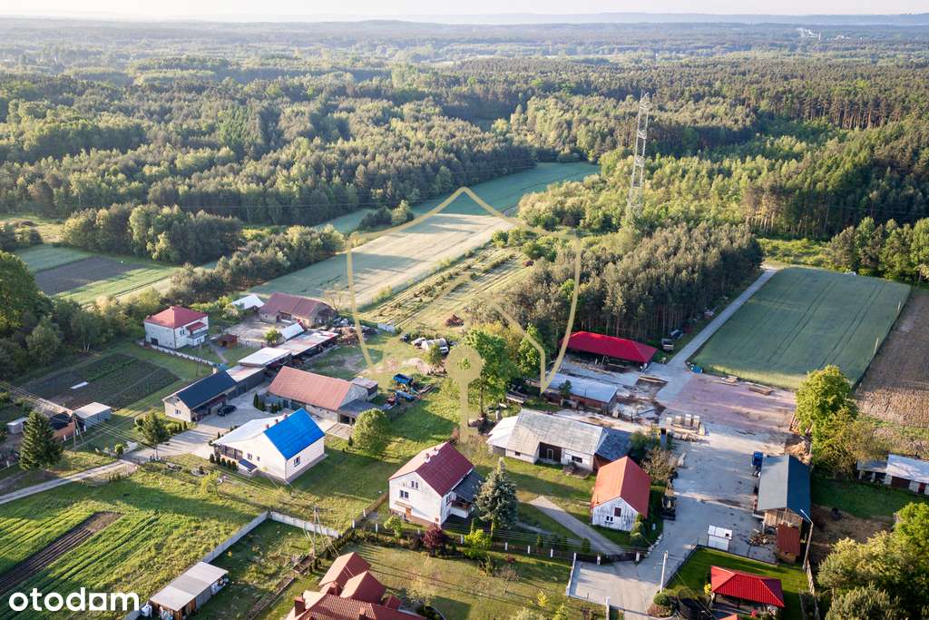 Działka z WZ i własnym lasem - Pełny obrazek: 4/7