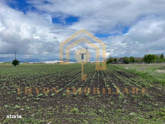 Teren extravilan de vânzare – 4.900 mp, str. Ion Creangă, Sebeș, Alba.-2