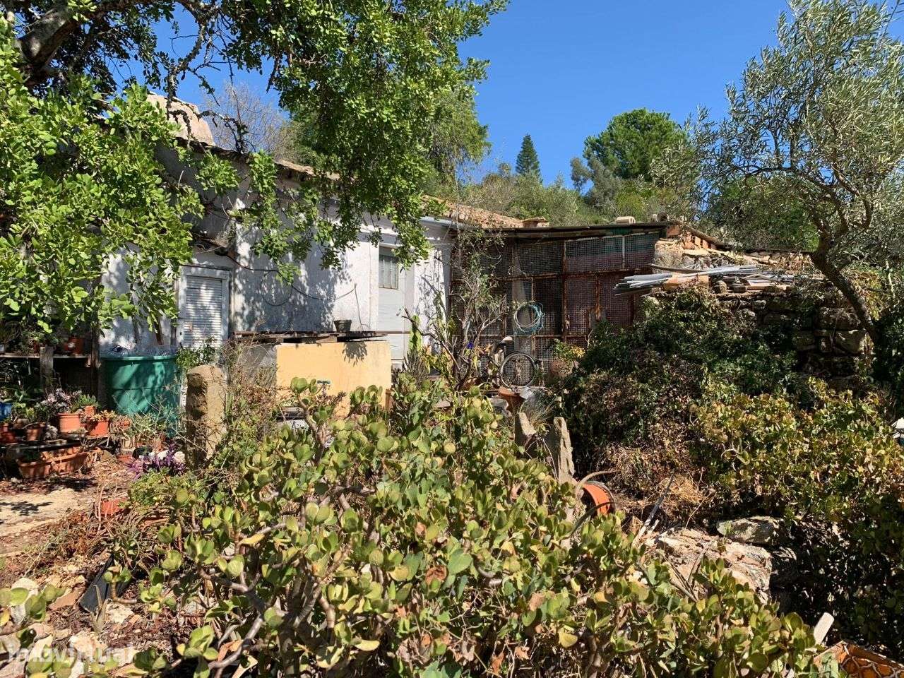 Terreno Urbano, com 3 artigos, Colmeal-40