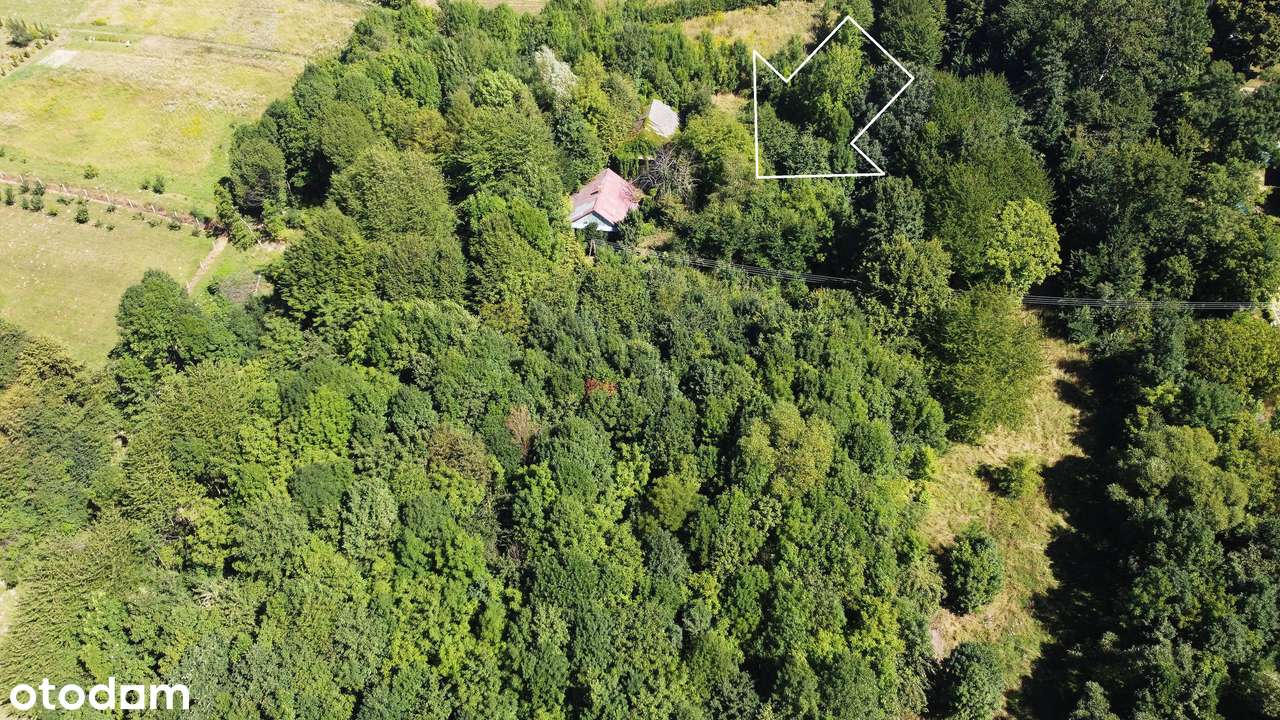 Siedlisko: dom i stodoła / 64 ary [6400 m2] ziemi na uboczu