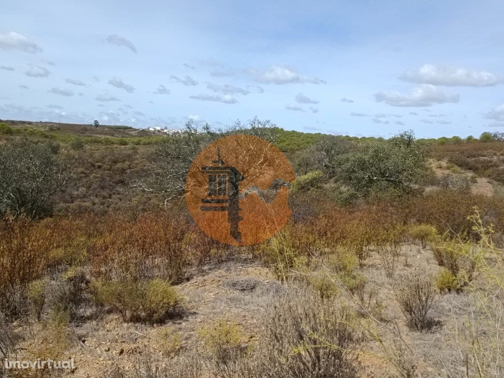 Terreno Rústico com 3.200 m2 sito na Murteira de Baixo, A...