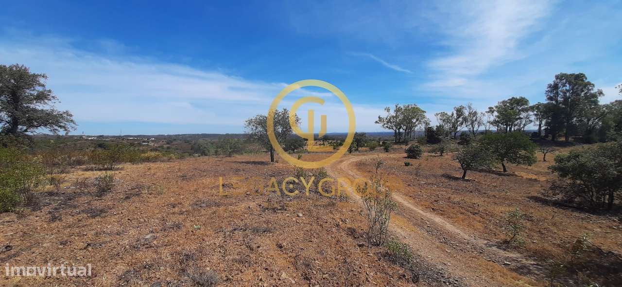 Terreno Rústico Azinhal / Castro Marim - Grande imagem: 3/17