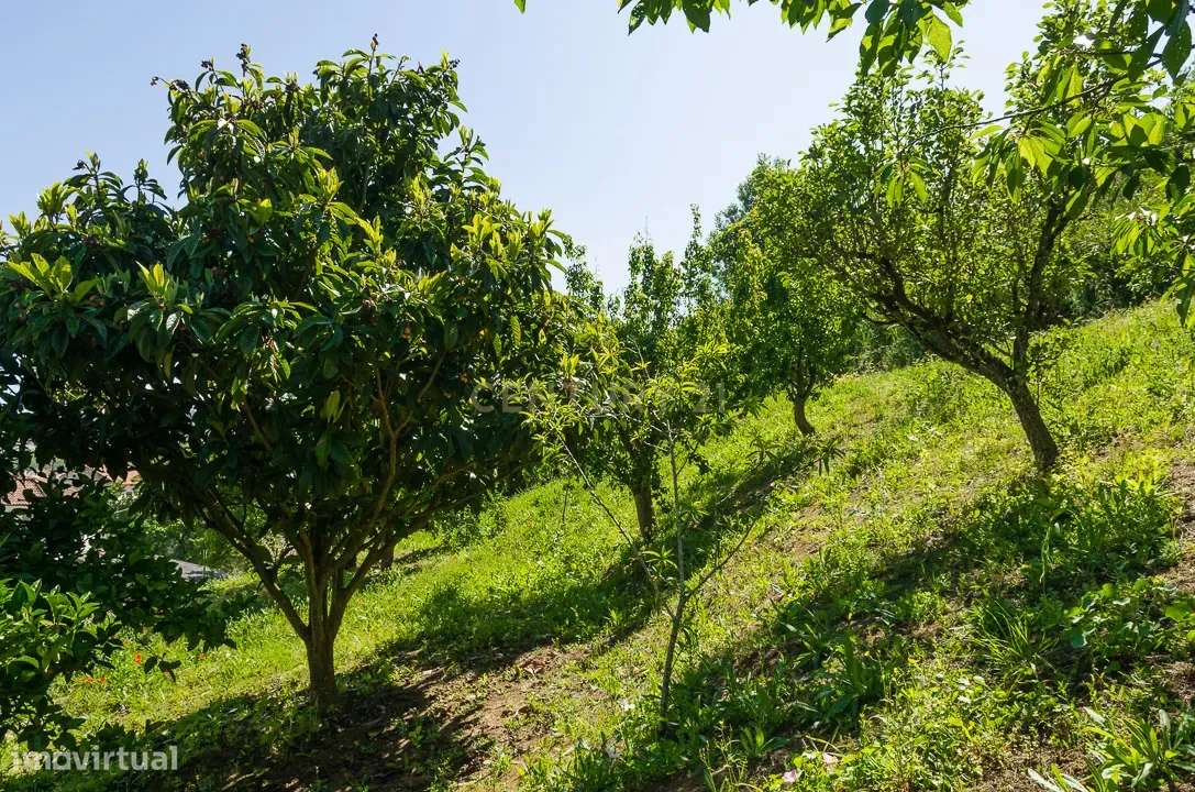 Prédio com Vista Panorâmica na zona Histórica de Alcobaça-15