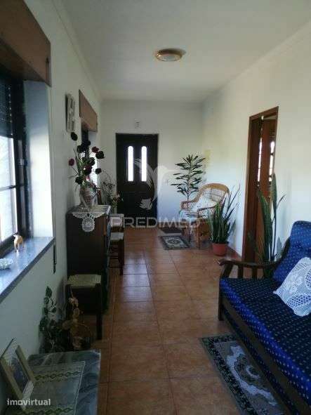 Quinta com Moradia T3 em Grândola - Grande imagem: 5/38