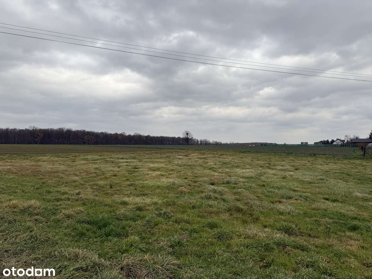 Działka w cichej okolicy - niedaleko jeziora i lasu - Pełny obrazek: 2/15