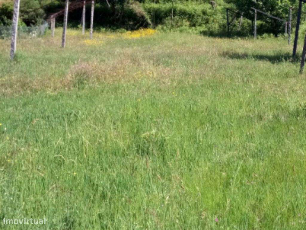 Terreno para Construção - Amarante - Grande imagem: 3/5