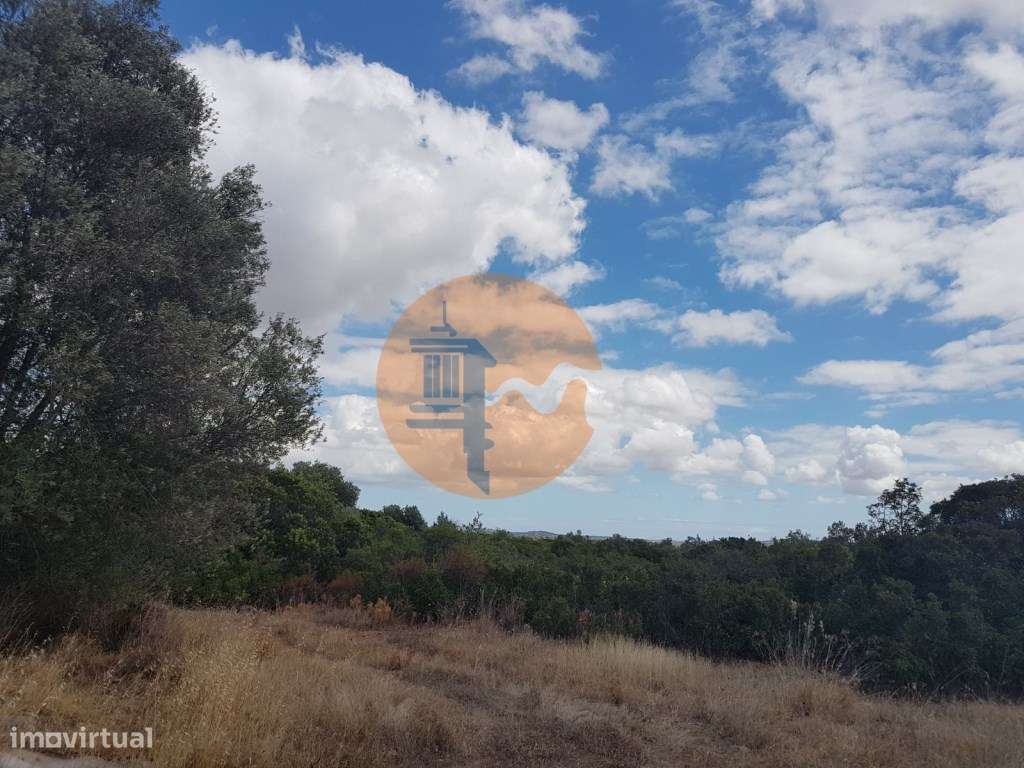 Terreno Rústico - Grande imagem: 3/7