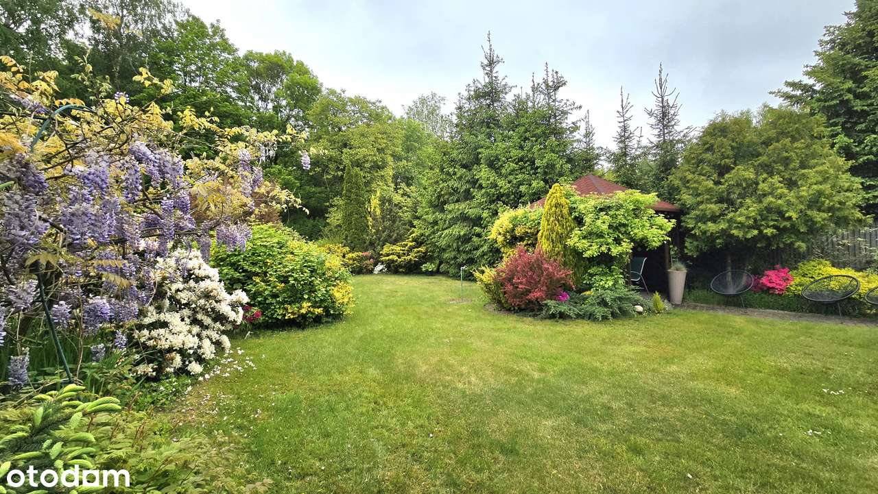 Przestronny dom, dwa odrębne lokale, ładna i duża działka!-1