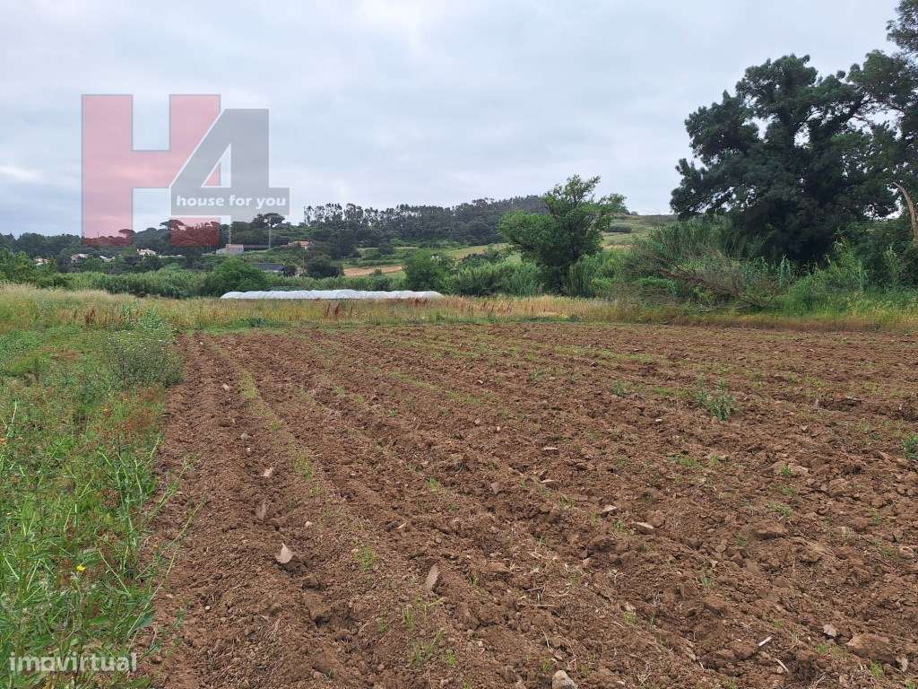 Terreno Rústico Plano com 15.560 m², 3 Poços e Eletricidade - Sapat...-7