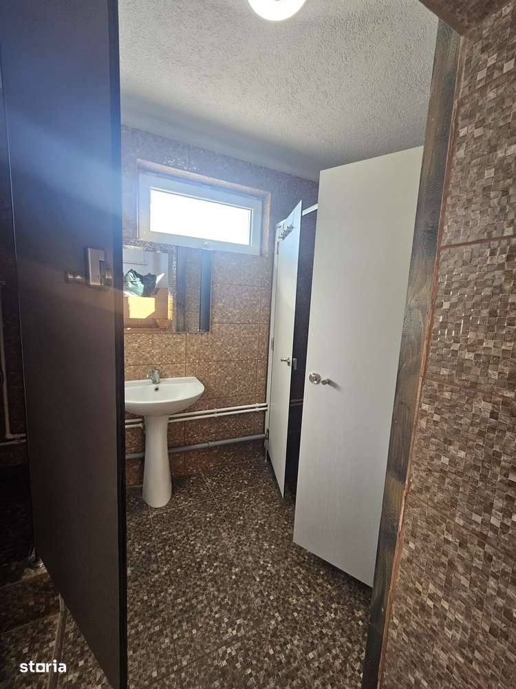 Proprietate speciala Dumbravita - casa individuala !!-15