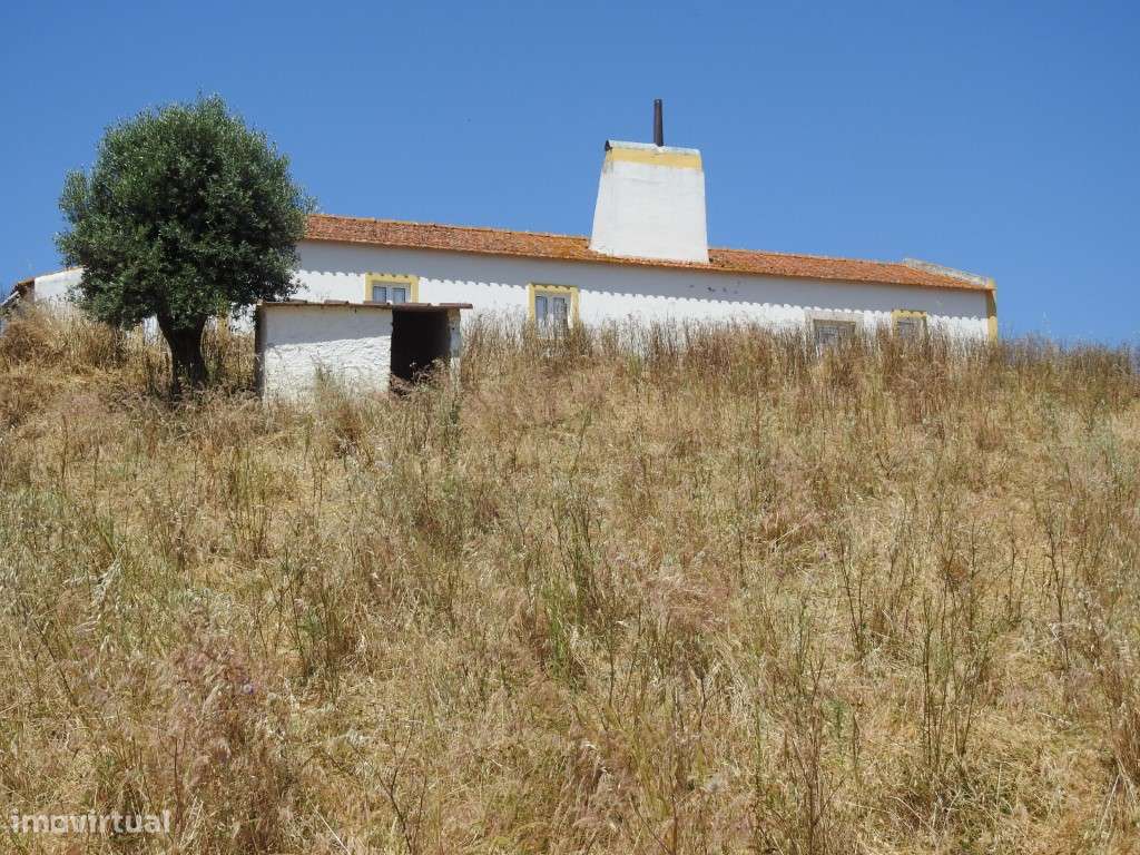 HERDADE (42,3 ha) - Grande imagem: 5/6