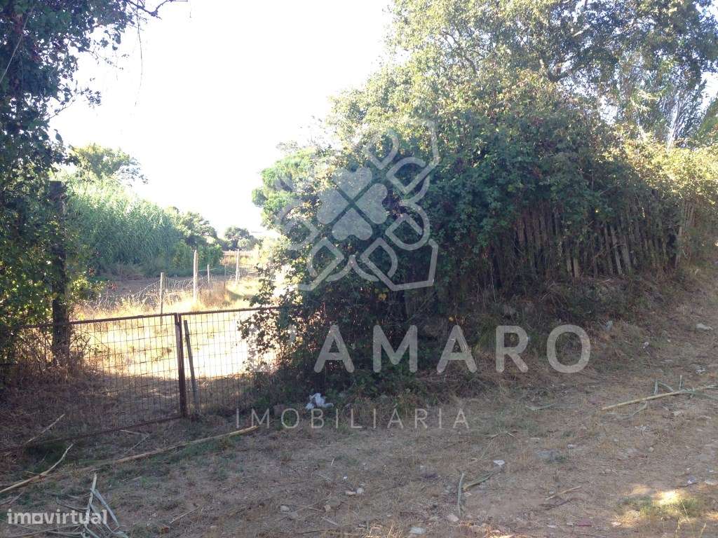 Terreno, rústico, na Póvoa da Galega - Grande imagem: 5/5