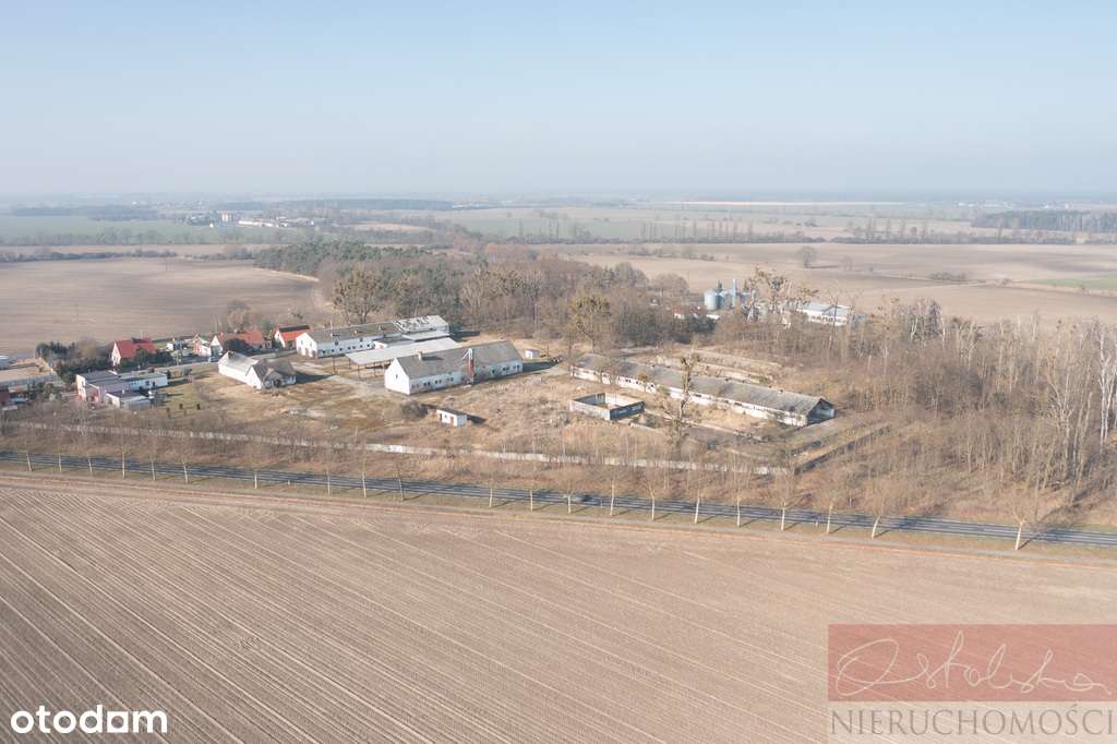 Grunty orne przy drodze 187 i obwodnicy Szamotuł-3