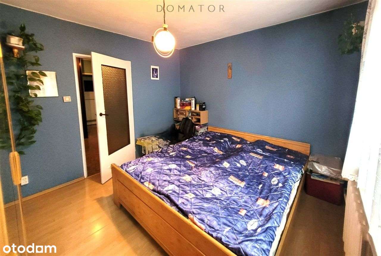 3 duże pokoje, balkon, niski blok przy Parku Róż-6