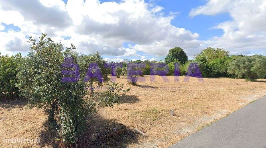 Terreno construção Santarém-3