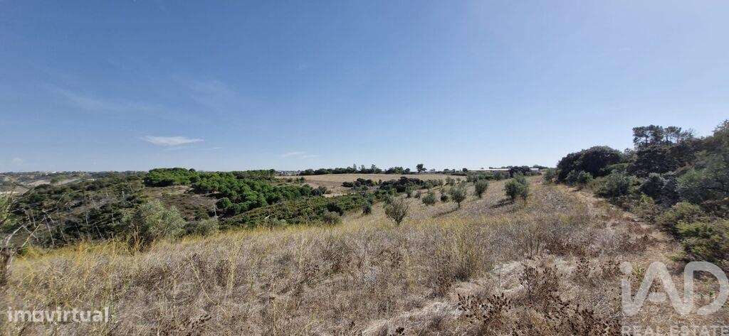 Terreno em Abitureiras de 17600,00 m2 - Grande imagem: 4/25