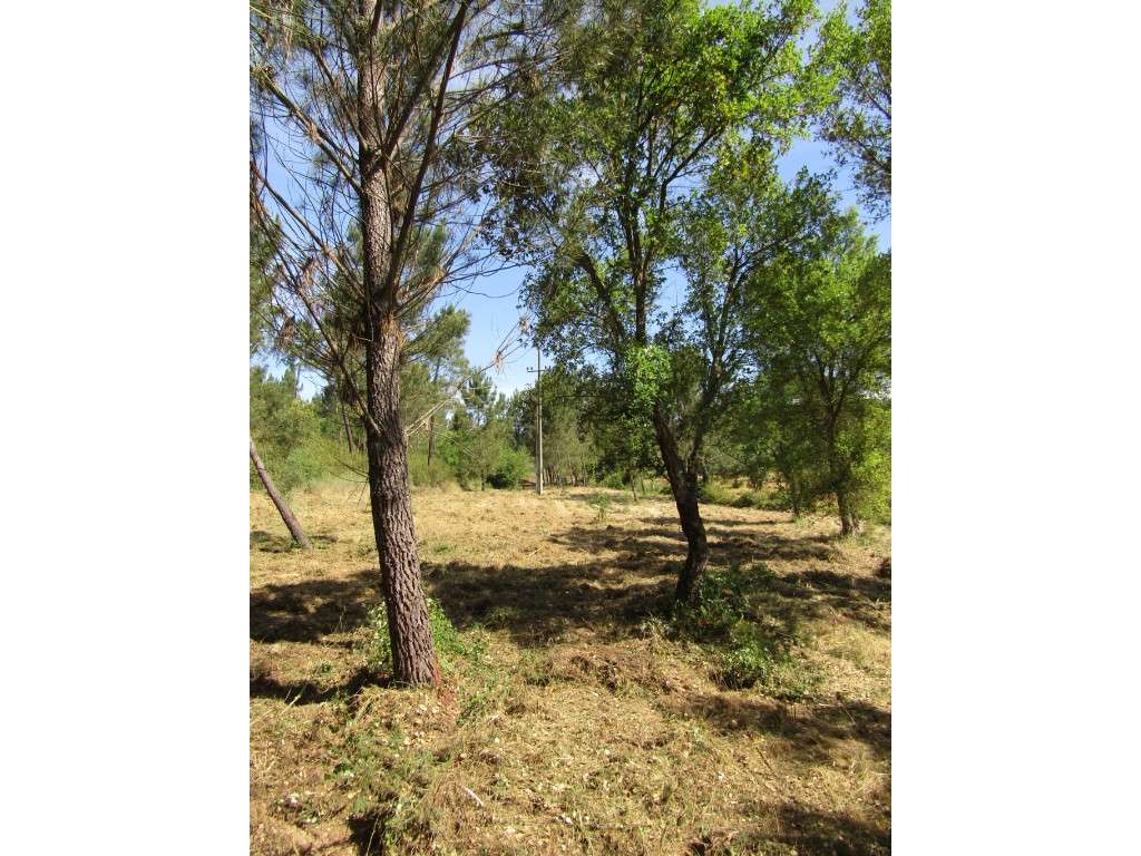 P26-238 Casal da Loba - Terreno Urbanizável no Centro de Portugal e...-23