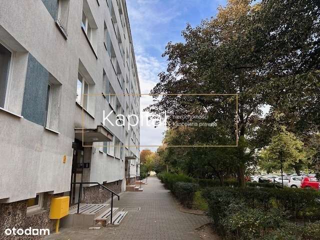 Osobna kuchnia, centrum, zielono, słoneczne;-6