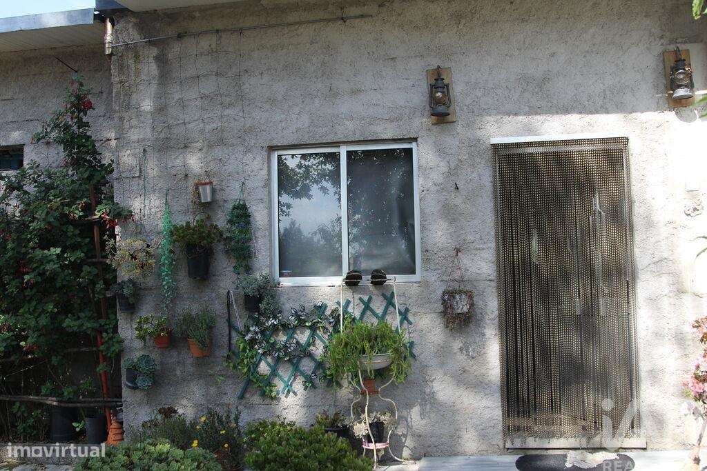 Terreno Agrícola em Oliveira do Hospital e São Paio de Gramaços-37