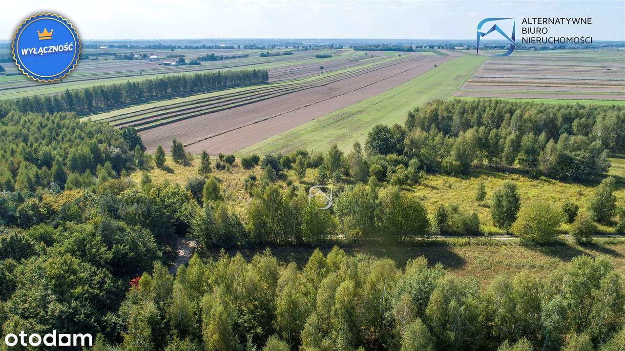 Działka budowlana Gm. Niemce m. Swoboda - Pełny obrazek: 3/19