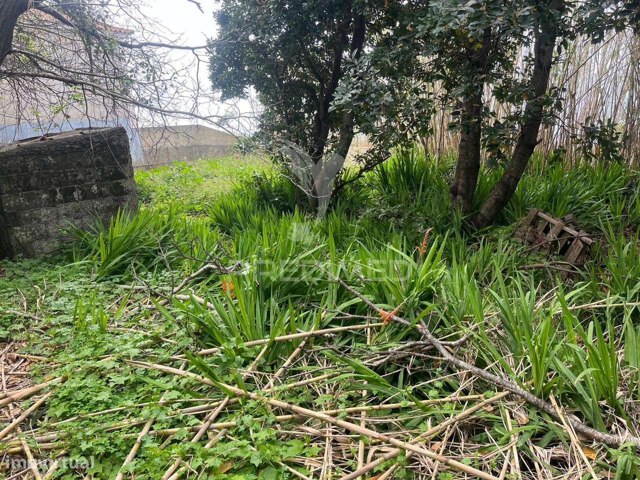 Moradia e Palheiro para Recuperação na P. Pargo junto ao campo de g... - Grande imagem: 4/15