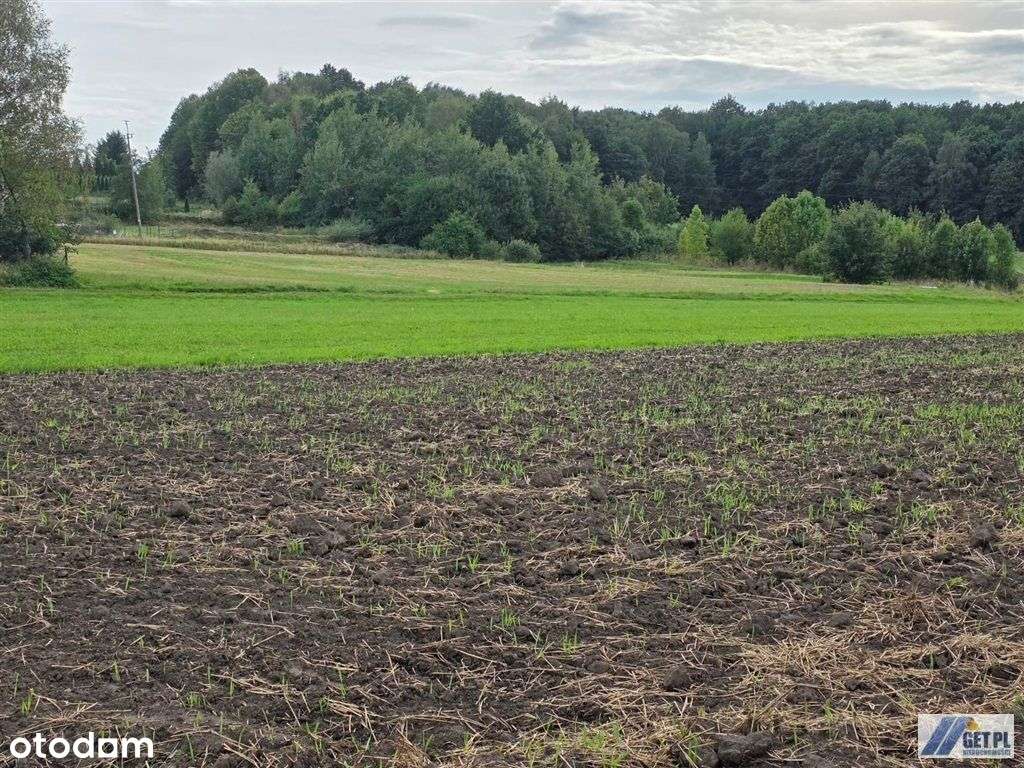 Działka budowlana Sułów 10 arów-5