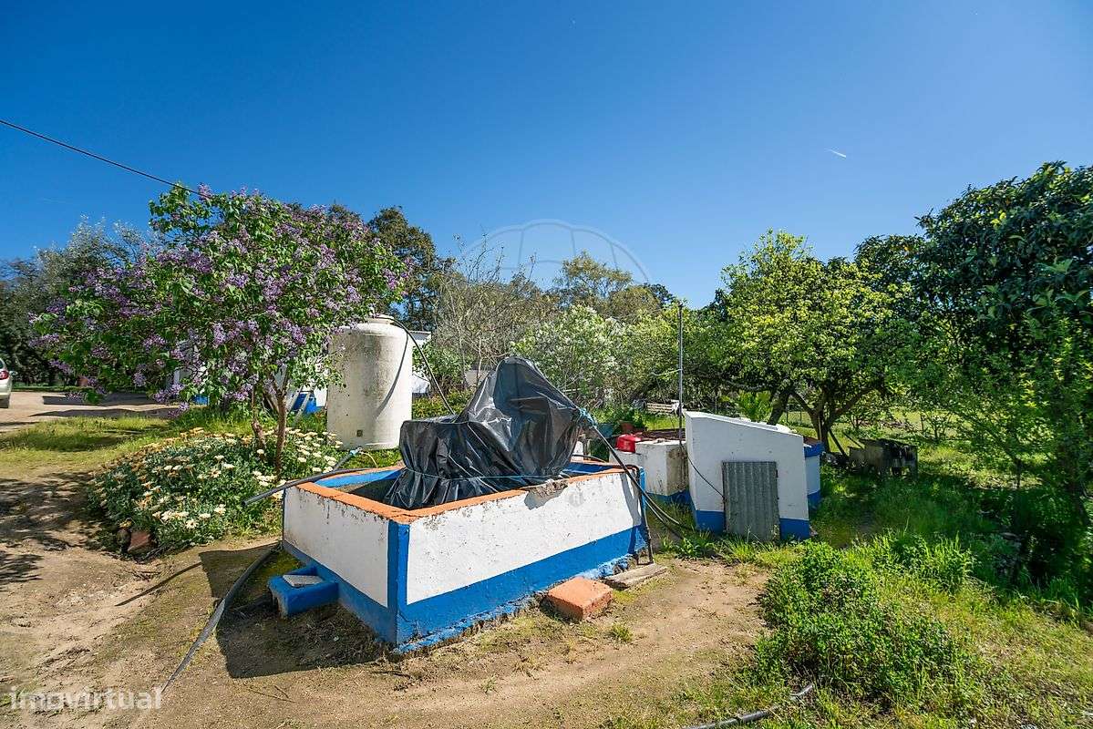 Quinta T6 para venda-13