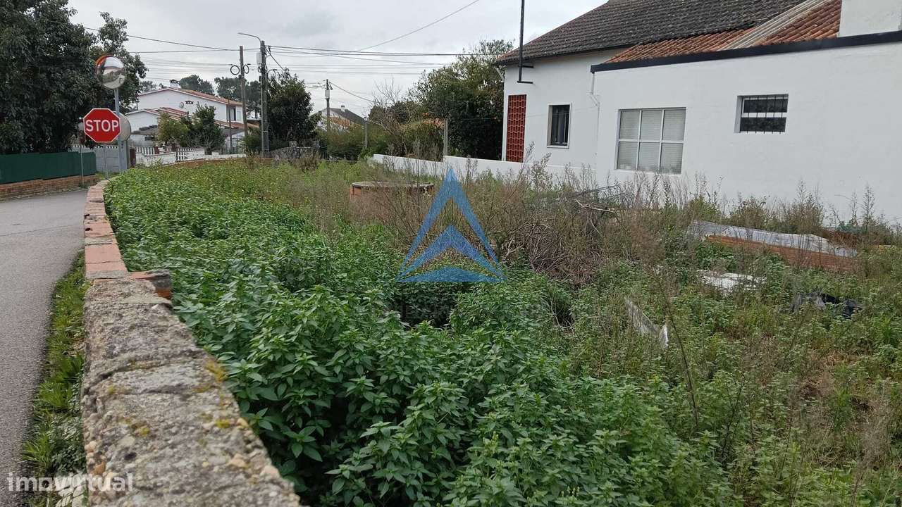 Moradia T3 com projeto aprovado - Grande imagem: 4/38