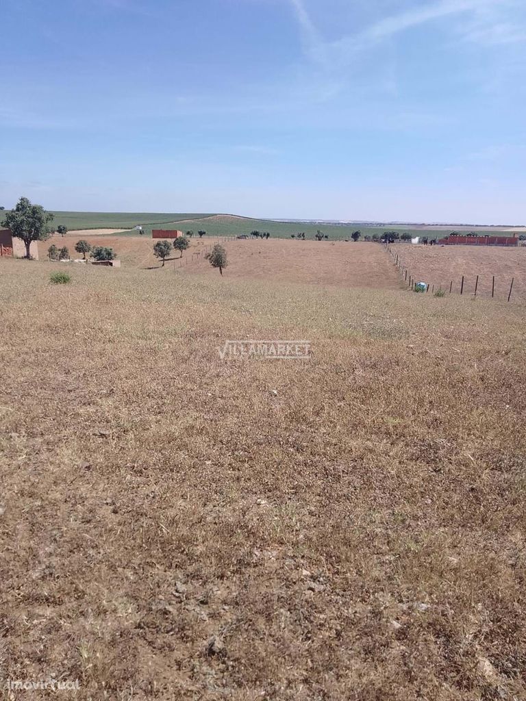 Terreno rústico com 8250 m2 situado próximo de Aljustrel no Alentejo