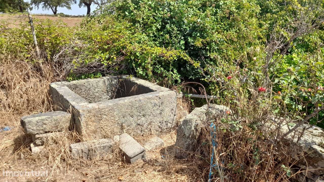 Terreno Rústico  Venda em Escalos de Cima e Lousa,Castelo Branco-11