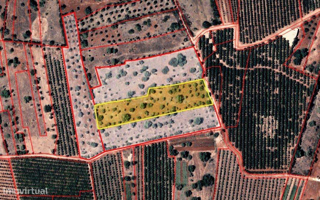 Terreno rústico plano com uma área de 7220 m² - Grande imagem: 4/6