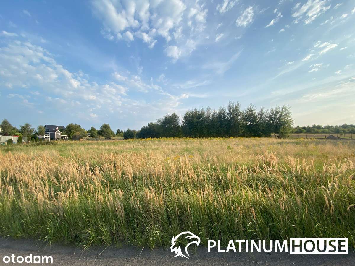 działka blisko jeziora i miasta pow. 2975m2 - Pełny obrazek: 3/3