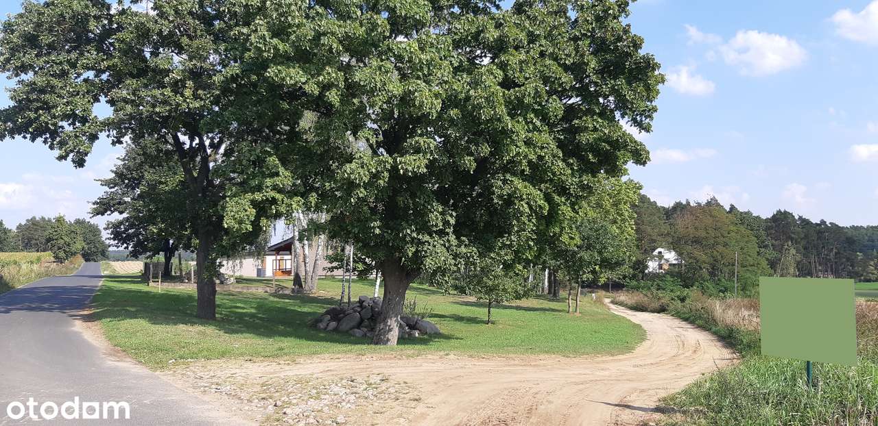 Sprzedam nietuzinkową działkę budowlaną 1000m2 pod Sierakowem Wlkp. - Pełny obrazek: 4/16