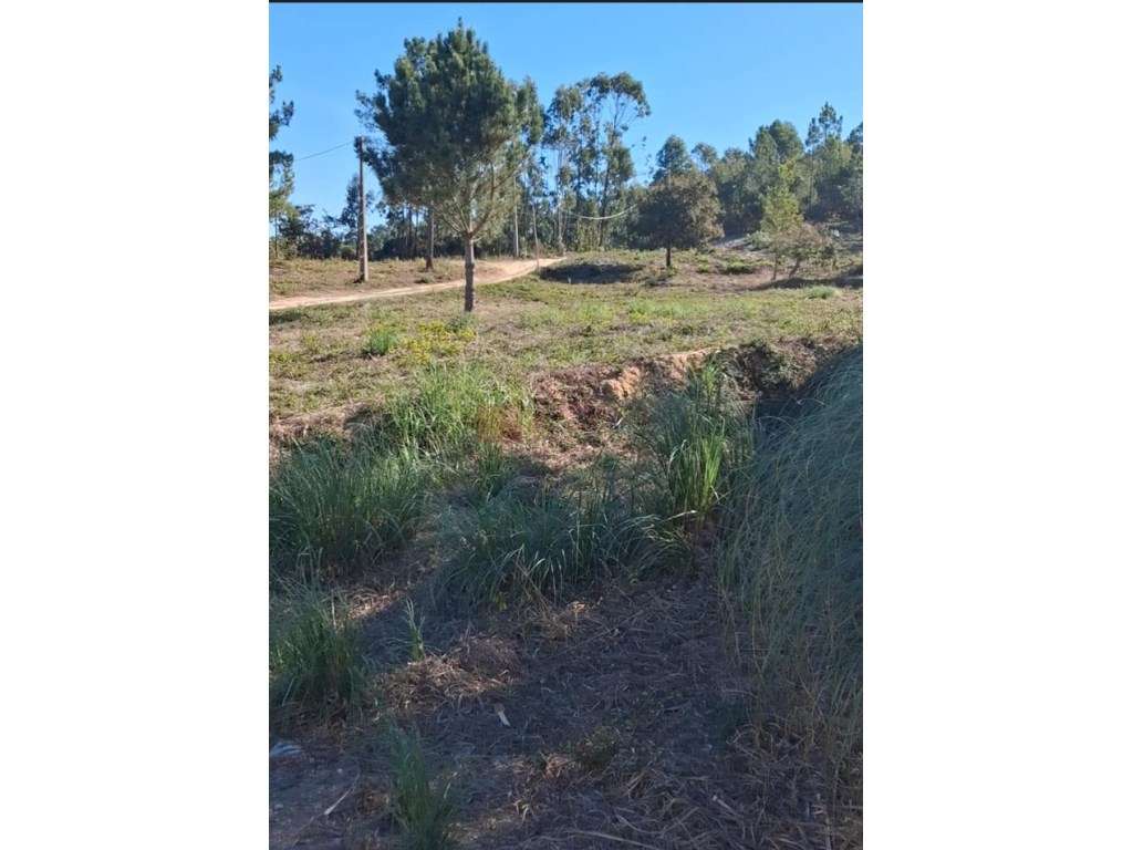 Mafra - Terreno para moradia com vista para vale-3